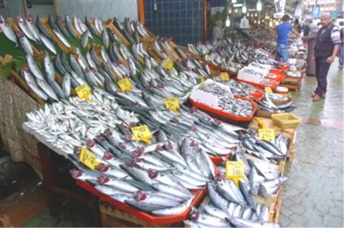 İzmit\'li Balıkçılara \'Balıkpazarını Boşaltın\' Tebligatı