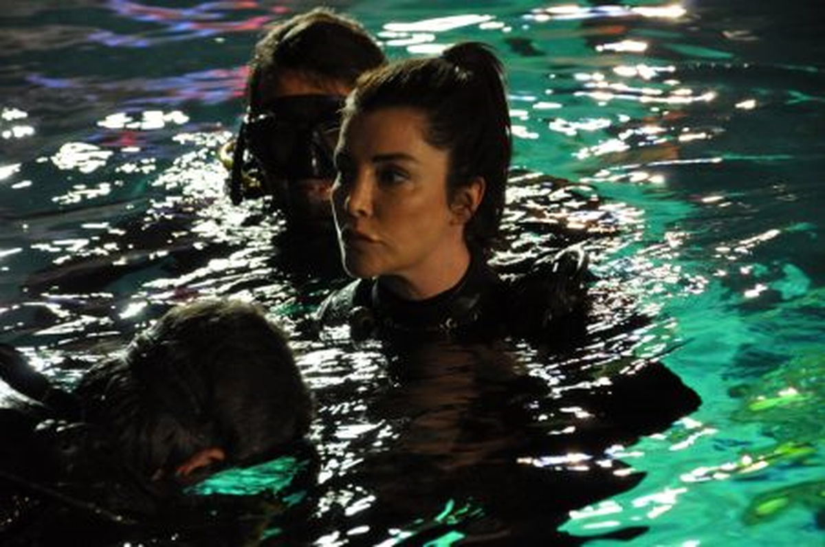 Köpekbalıklarıyla Dansın İlk Dalgıcı Deniz Akkaya Oldu