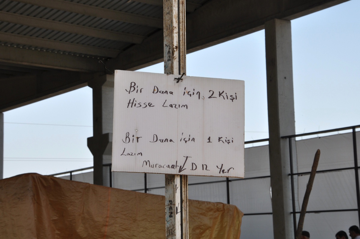 Kurbanlık Hayvanlara Rağbet Yok