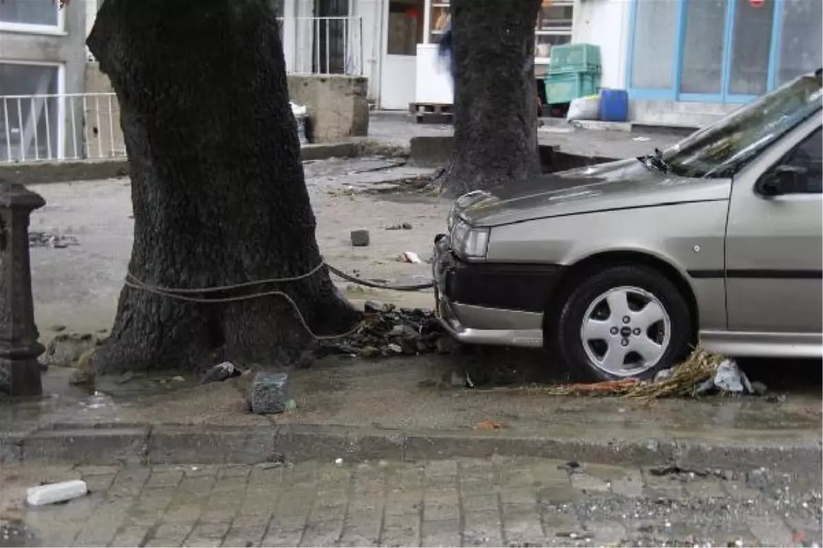 Marmara'da Otomobilleri Ağaçlara Bağlatan Sel