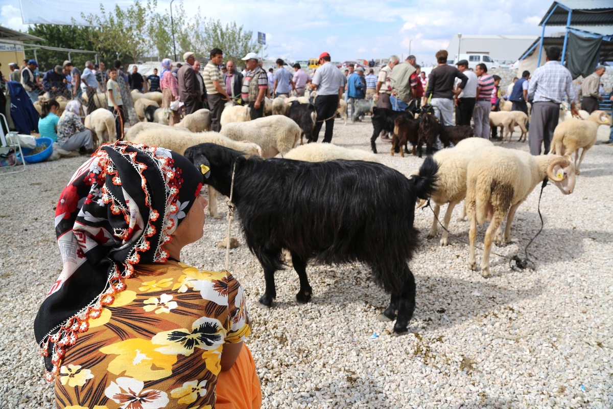 Milas Hayvan Pazarında Sahte Para Uyarısı