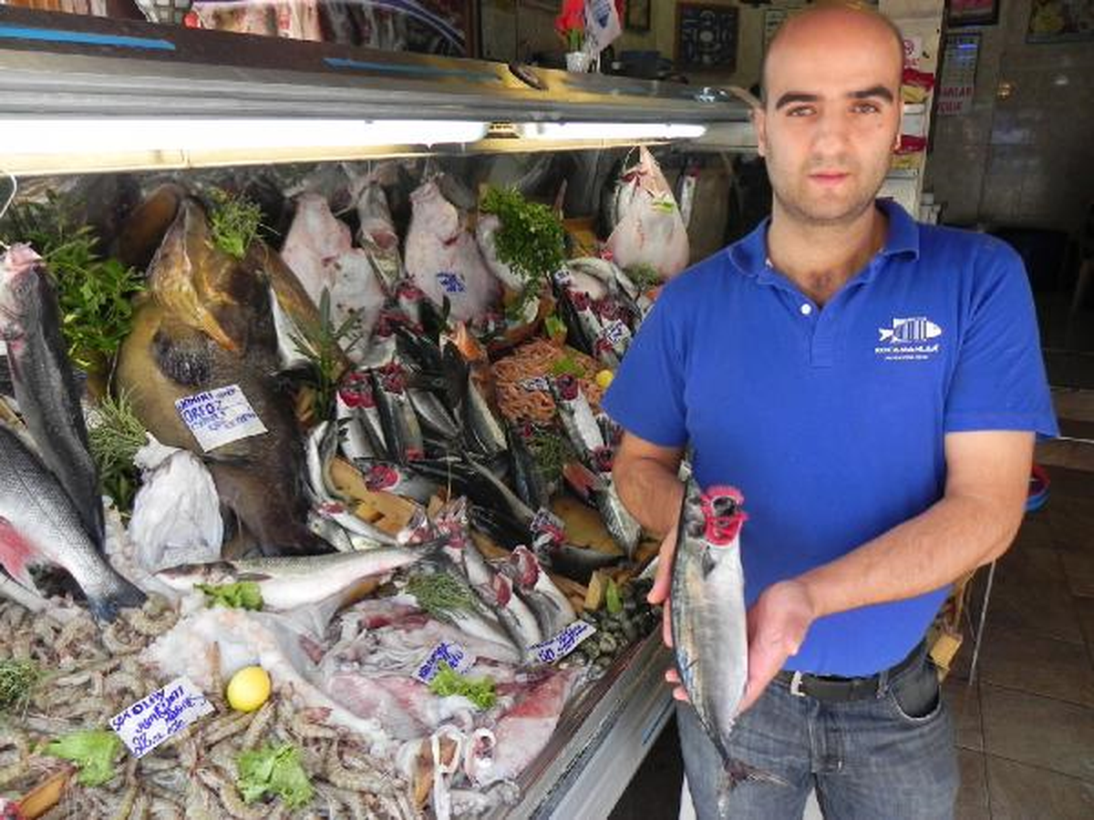 Palamutun Fiyatı Arttı