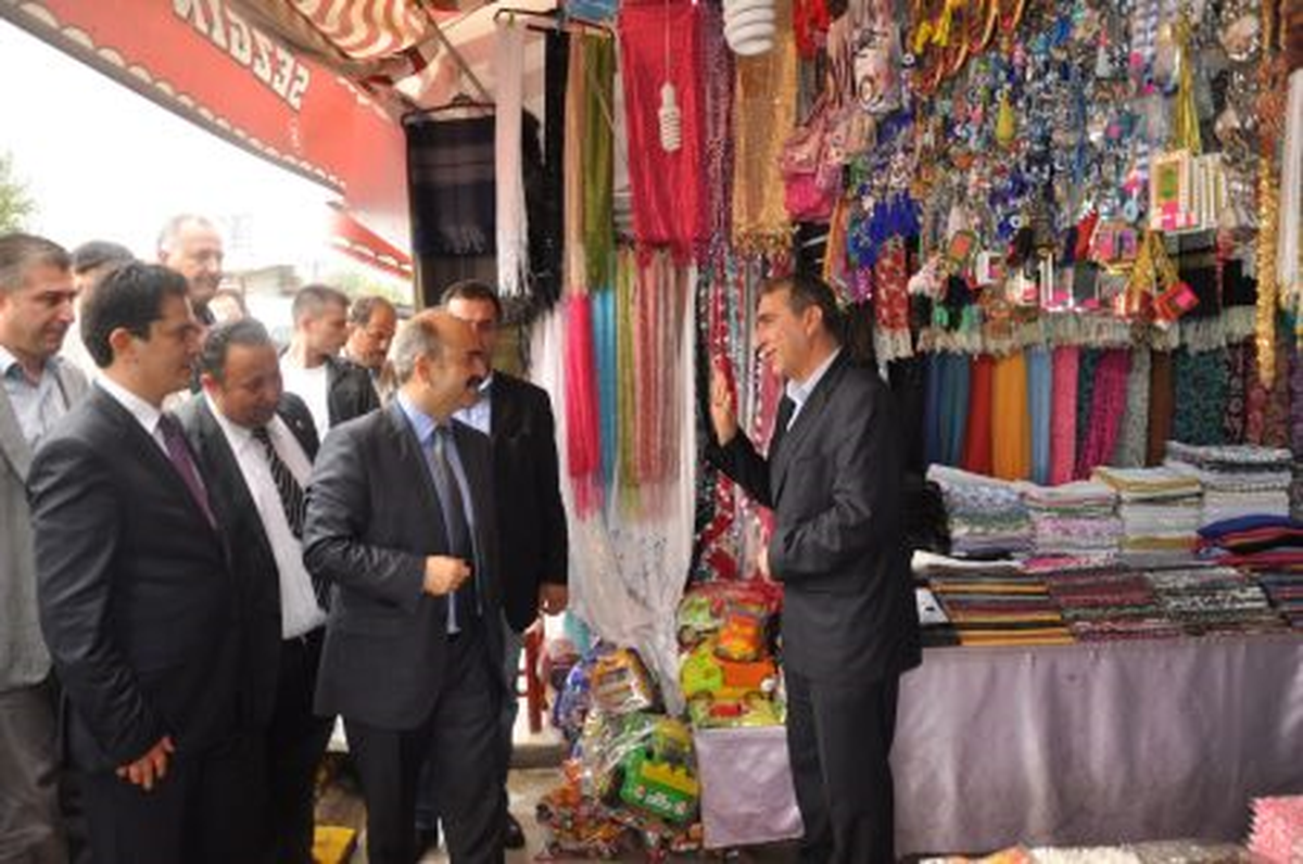 Vali Ahmet Aydın, İncelemelerde Bulundu
