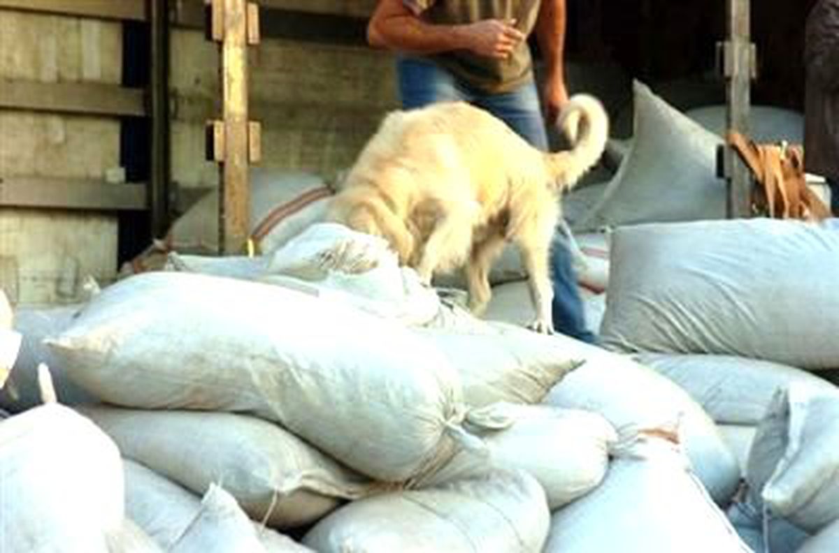 Çay Yüklü Tır\'da 25 Kilo Eroin ile 12 Bin Paket Kaçak Sigara Ele Geçirildi