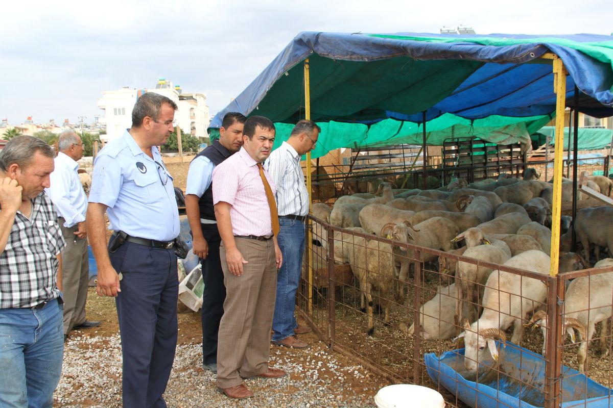 Didim\'de İlçe Tarım Müdürlüğü Ekipleri Kurban Denetimlerini Sürdürüyor