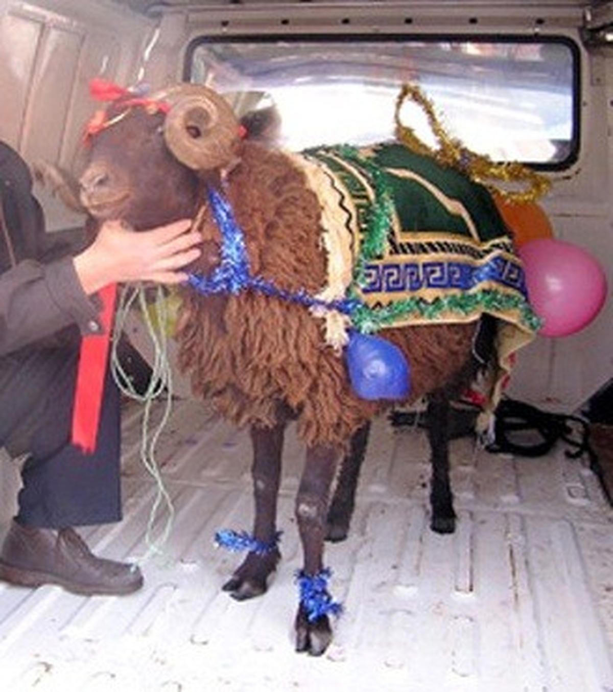 Erzurum\'da Yaşayan Gelenekler