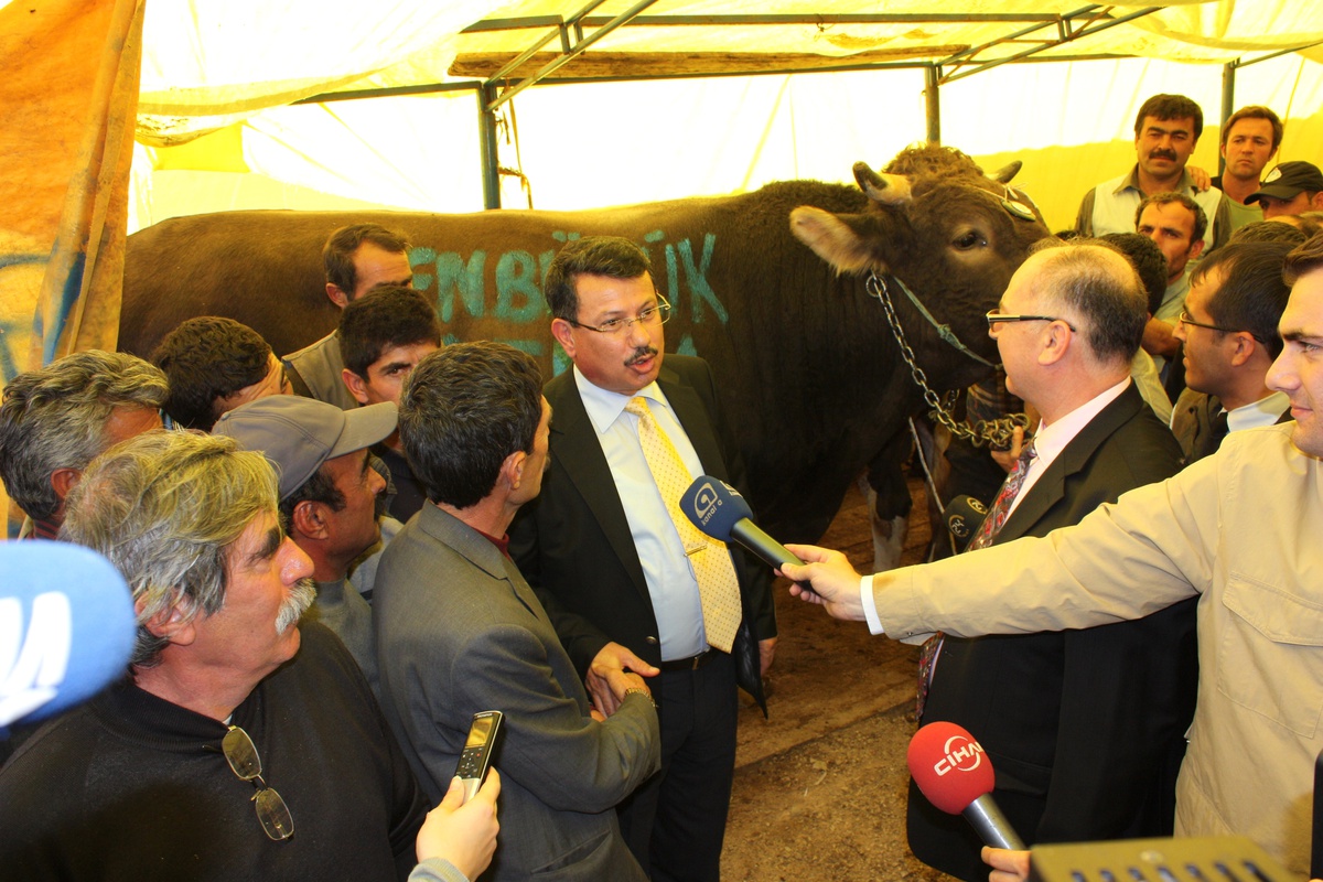 Gıda, Tarım ve Hayvancılık Bakanlığı\'ndan Kurbanlık Alanlarına Denetim