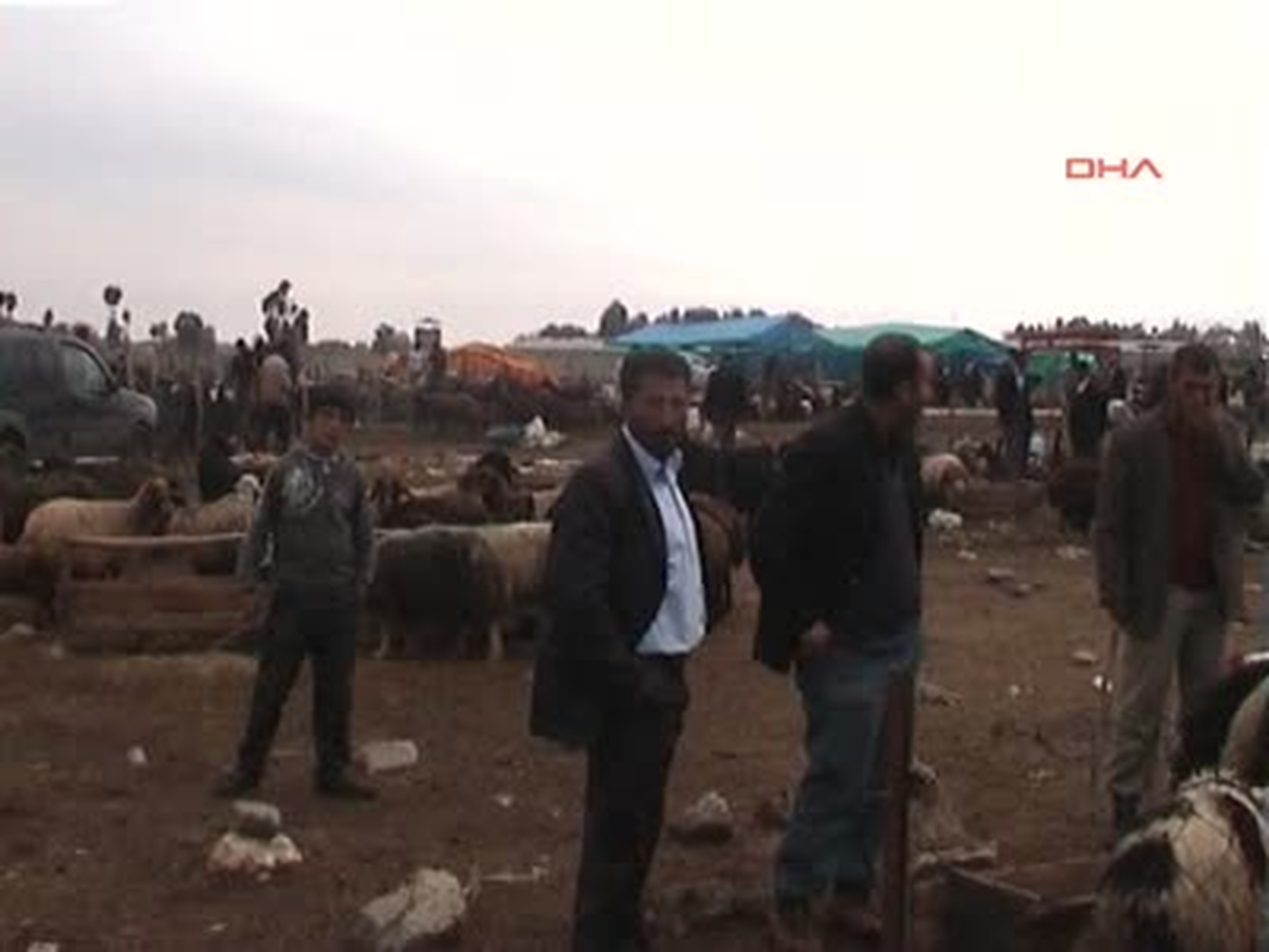 Muş Polisten Hayvan Pazarında Sahte Para Uyarısı Polisten Hayvan Pazarında Sahte Para Uyarısı
