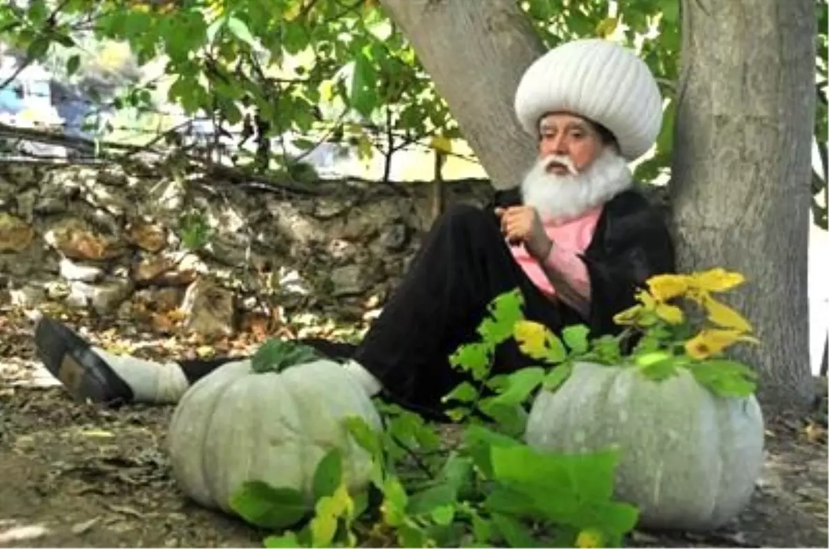 Nasreddin Hoca Fıkraları Şarkı Oldu