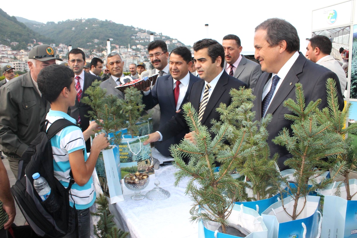 Ordu\'da Bayramlık Çam Fidanları Dağıtıldı