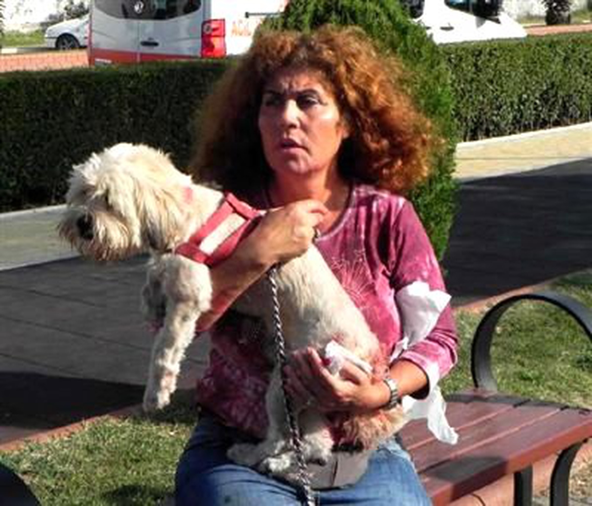 Sokak Köpeğinin Saldırdığı Kadın ve Köpeği Yaralandı