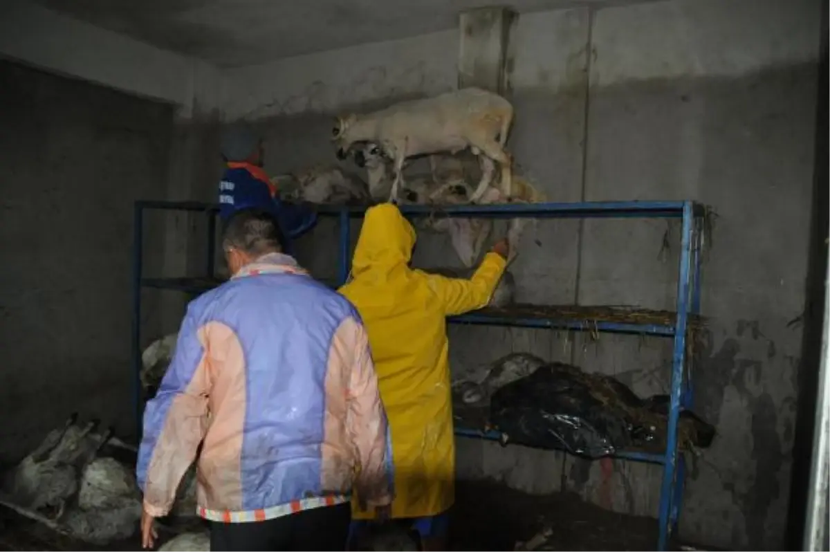 Trakya\'da Sel Can Aldı: 3 Ölü