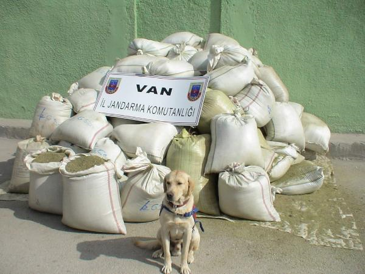 Van\'da 5 Ton Esrar Ele Geçirildi