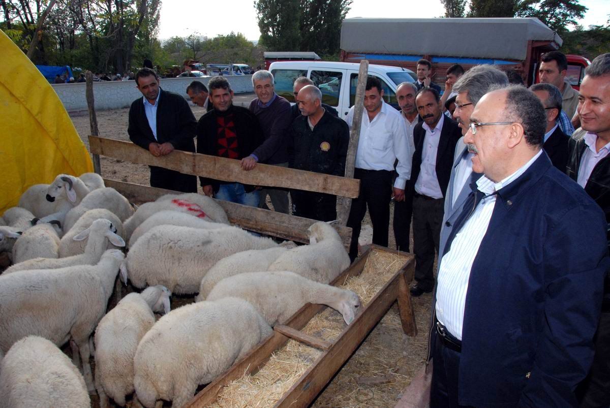 Başbakan Yardımcısı Atalay Kırıkkale\'de