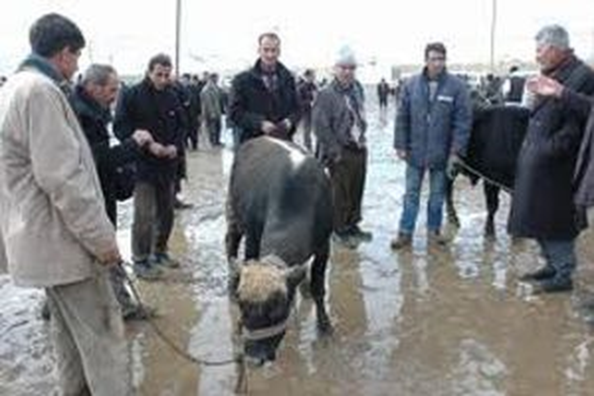Kurban Pazarı Çamur Deryasına Döndü