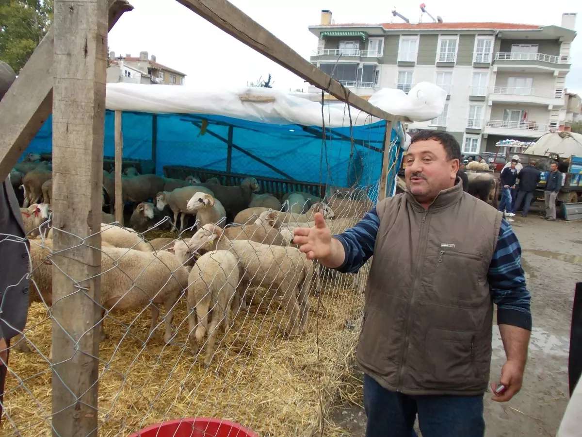 Şarköy Belediyesi Kurbanı Ücretsiz Kesiyor