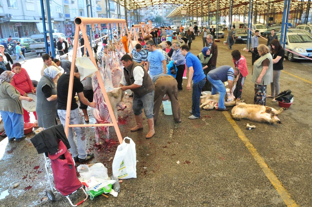 Acemi Kasaplar Hastanelere Akın Etti