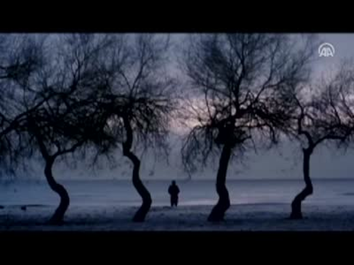 Bu Hafta 3 Film Vizyona Girecek