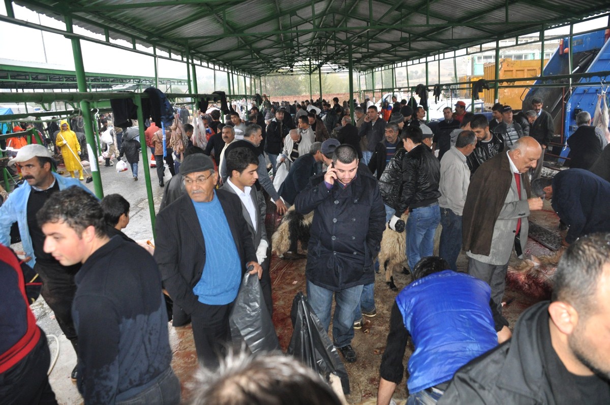 Canlı Hayvan Pazarında Bayram Yoğunluğu