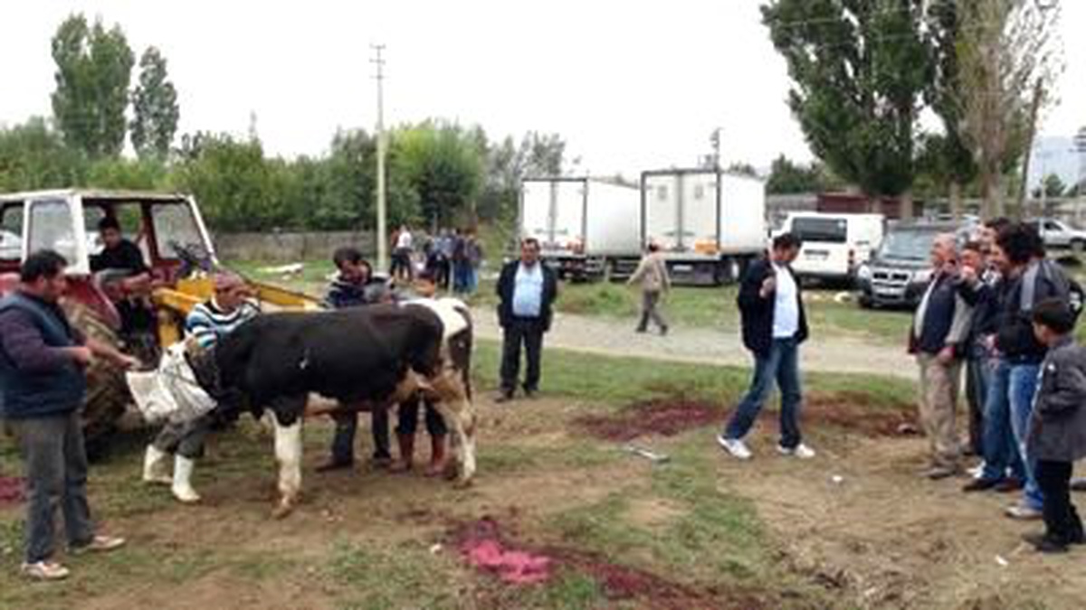 Erzincan ) Kurban Bayramında Bildik Manzaralar Kurban Bayramında Bildik Manzaralar