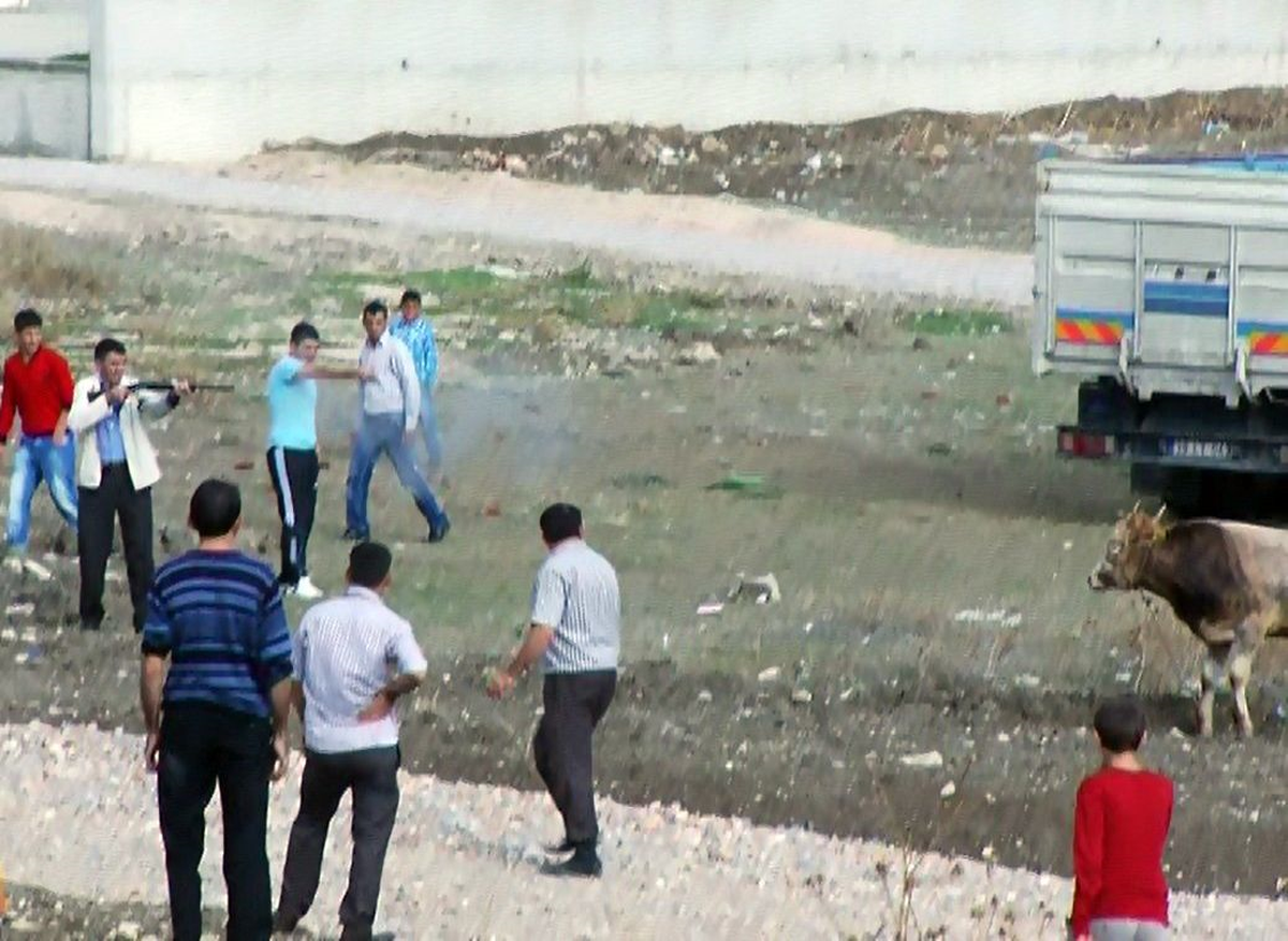 İnegöl\'de Kaçan Boğa Tüfekle Vurulduktan Sonra Kesilebildi