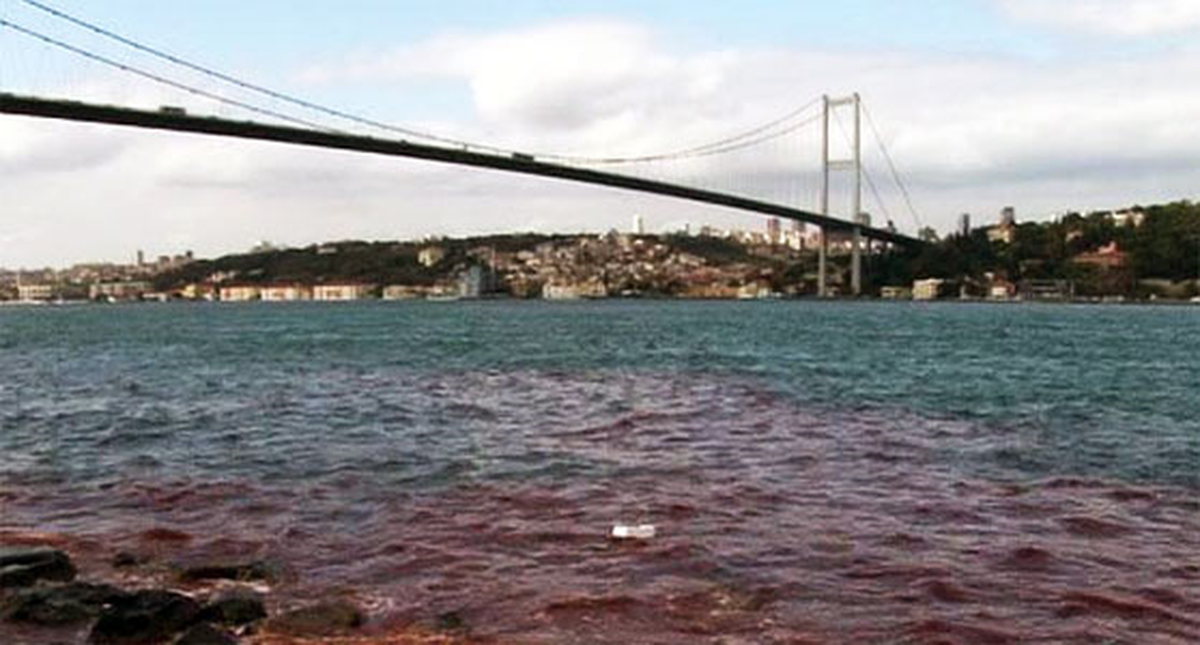 İstanbul Boğazı Kana Bulandı