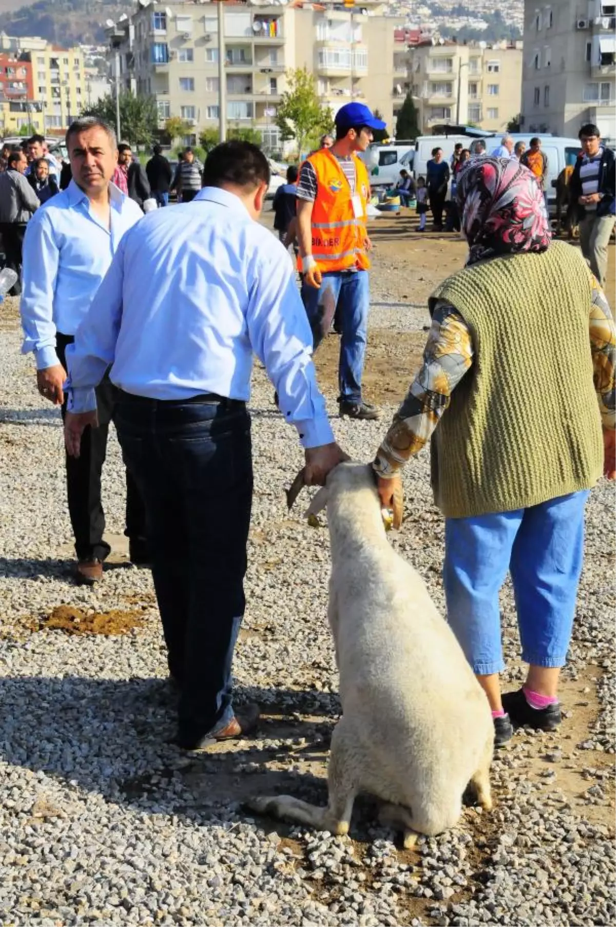 İzmirliler, Kurallara Uydu