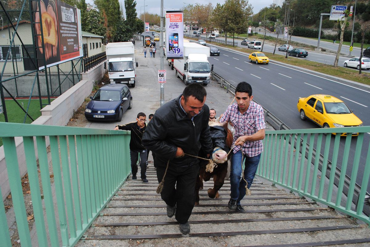 Kurban Bayramı\'ndan İlginç Manzaralar