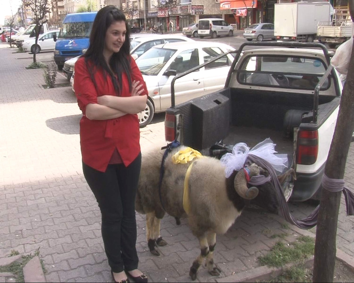 Kurbanlığı Gelinlik Kız Gibi Süslediler