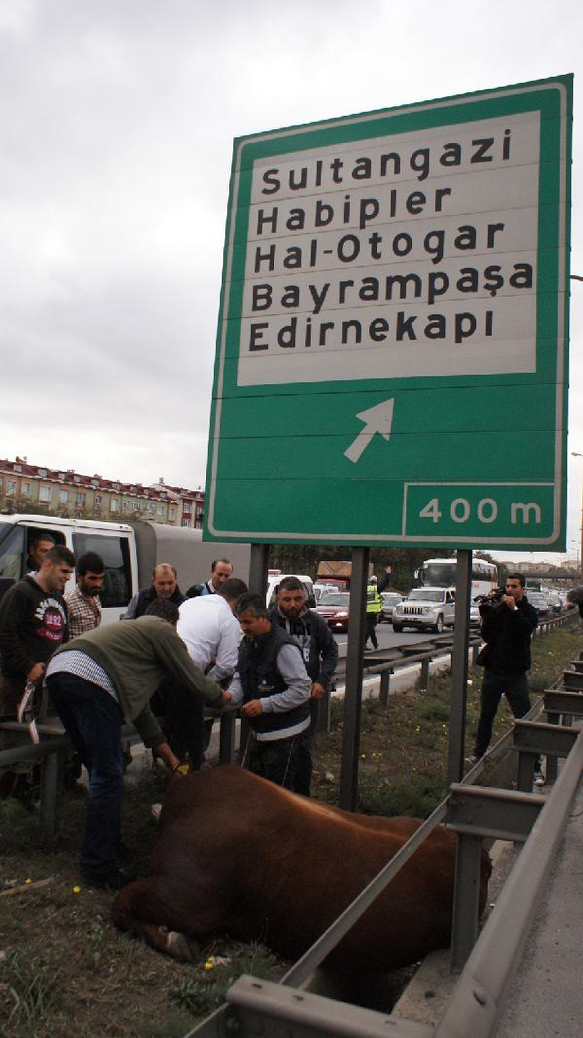Kurbanlık Boğa Trafiği Birbirine Kattı