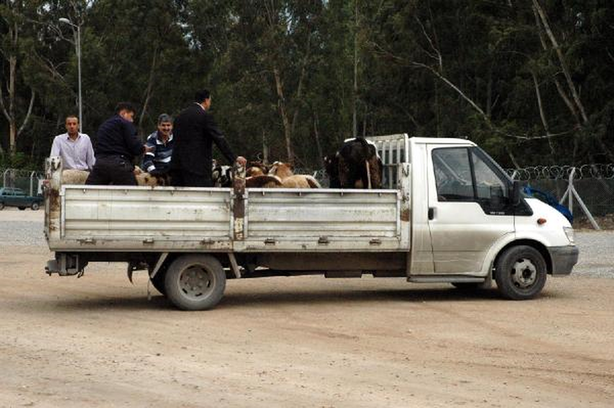 Suriyeli Türkmen\'ler İçin 110 Kurban Kesip, \'Kara Yahni\' Yaptılar