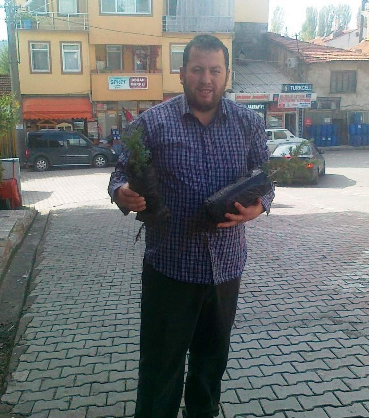 Halka Bayram Fidanı