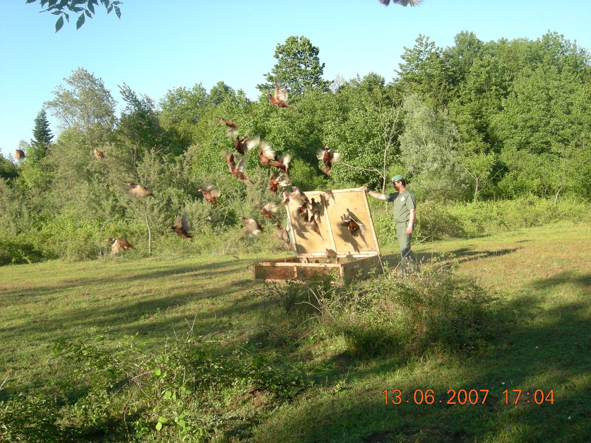 Hayvan Ticareti Yapanlara ve Kaçak Avcılara 611 Bin Lira Ceza