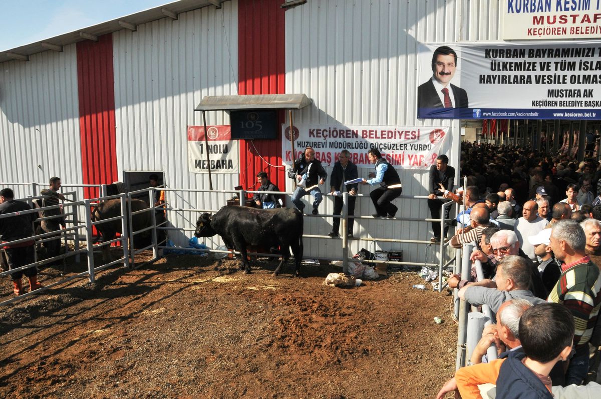 Keçiören'de Modern Mezbahane Sayesinde Sıkıntı Yaşanmadı
