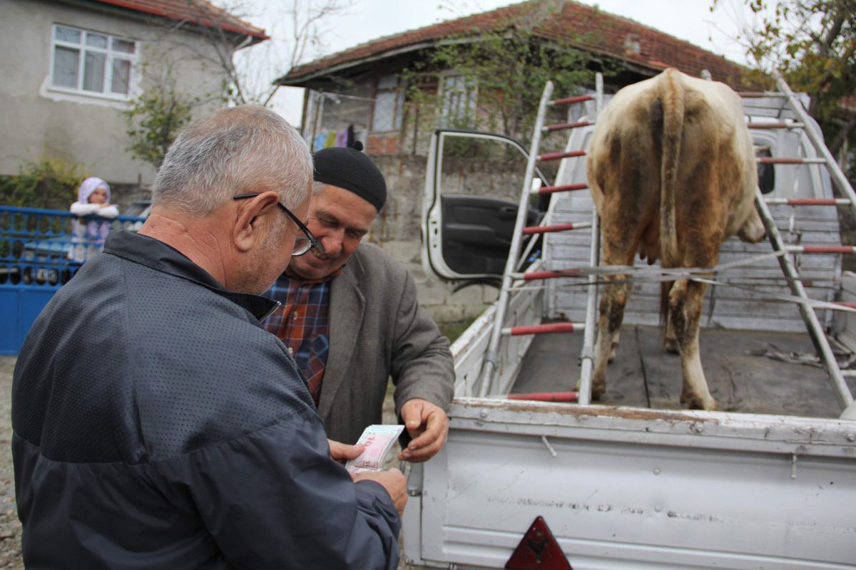 Merdiven Arası \'Kurban\' Nakliyesi