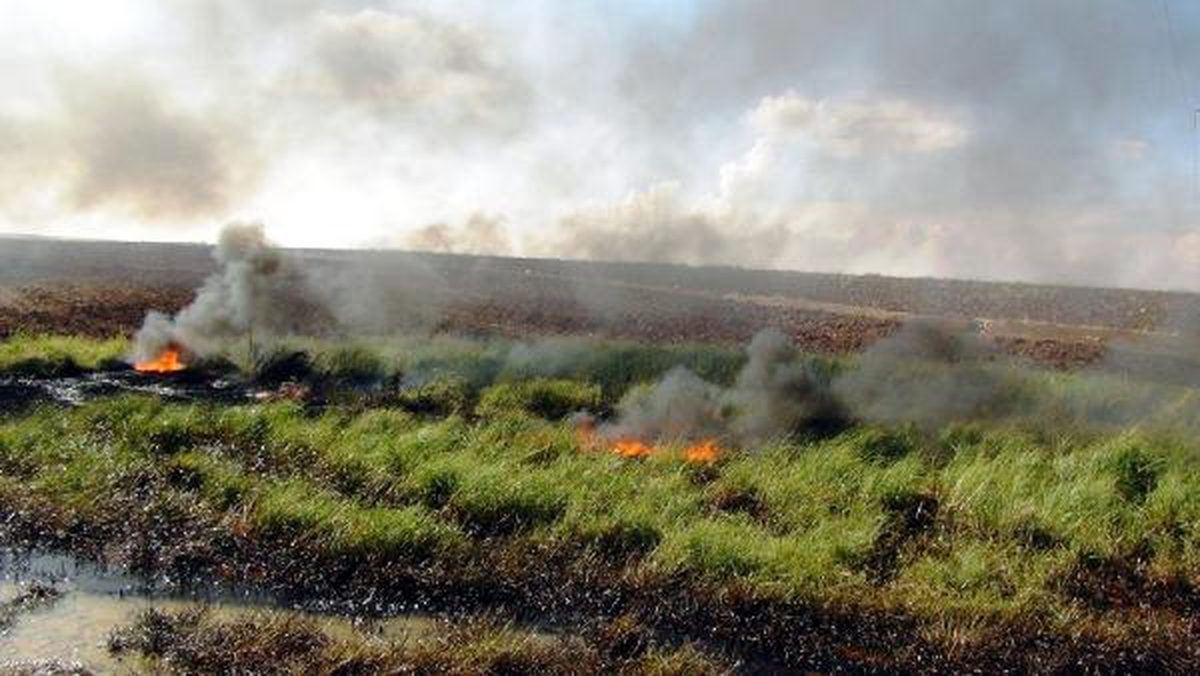 Petrol Boru Hattına Bombalı Saldırı
