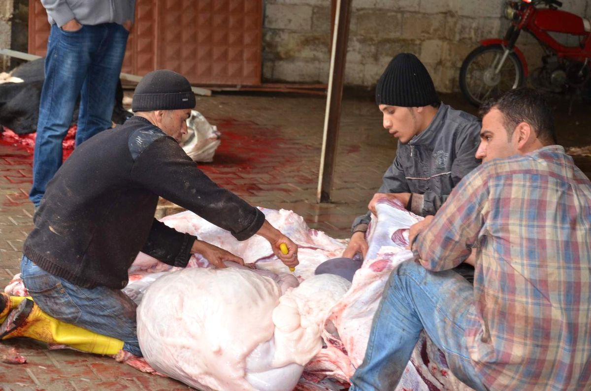 Viranşehir Emniyeti 250 Aileye Kurban Eti Dağıttı