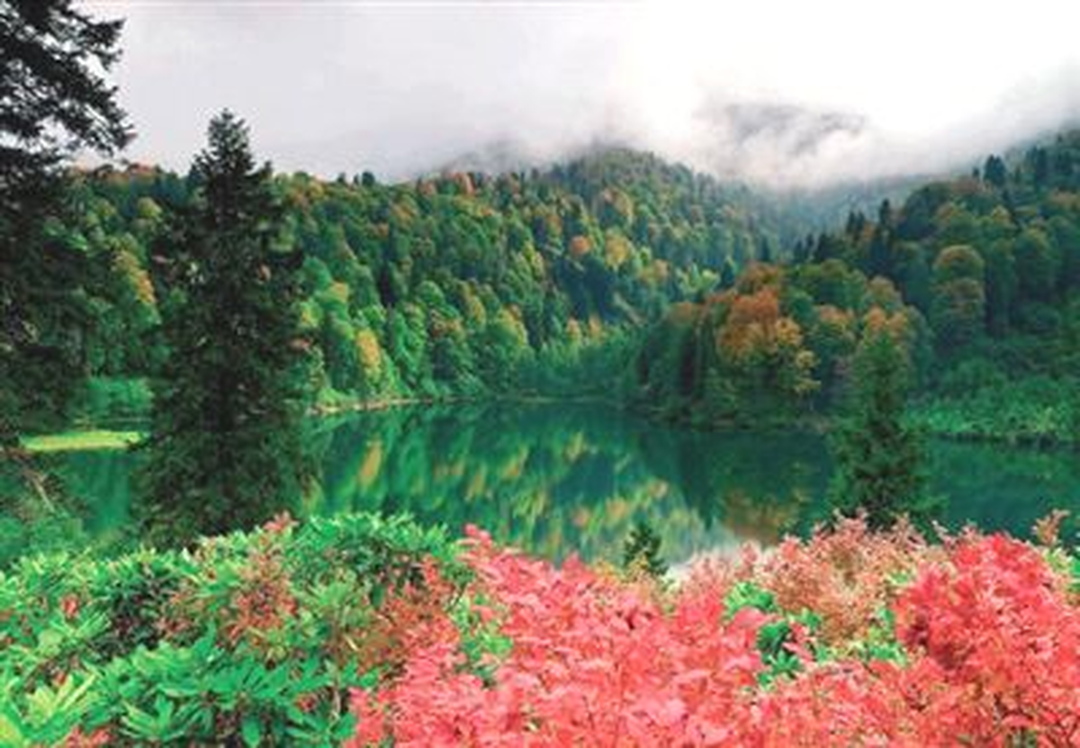 Artvin\'de Doğa Harikası Karagöl Yok Oluyor