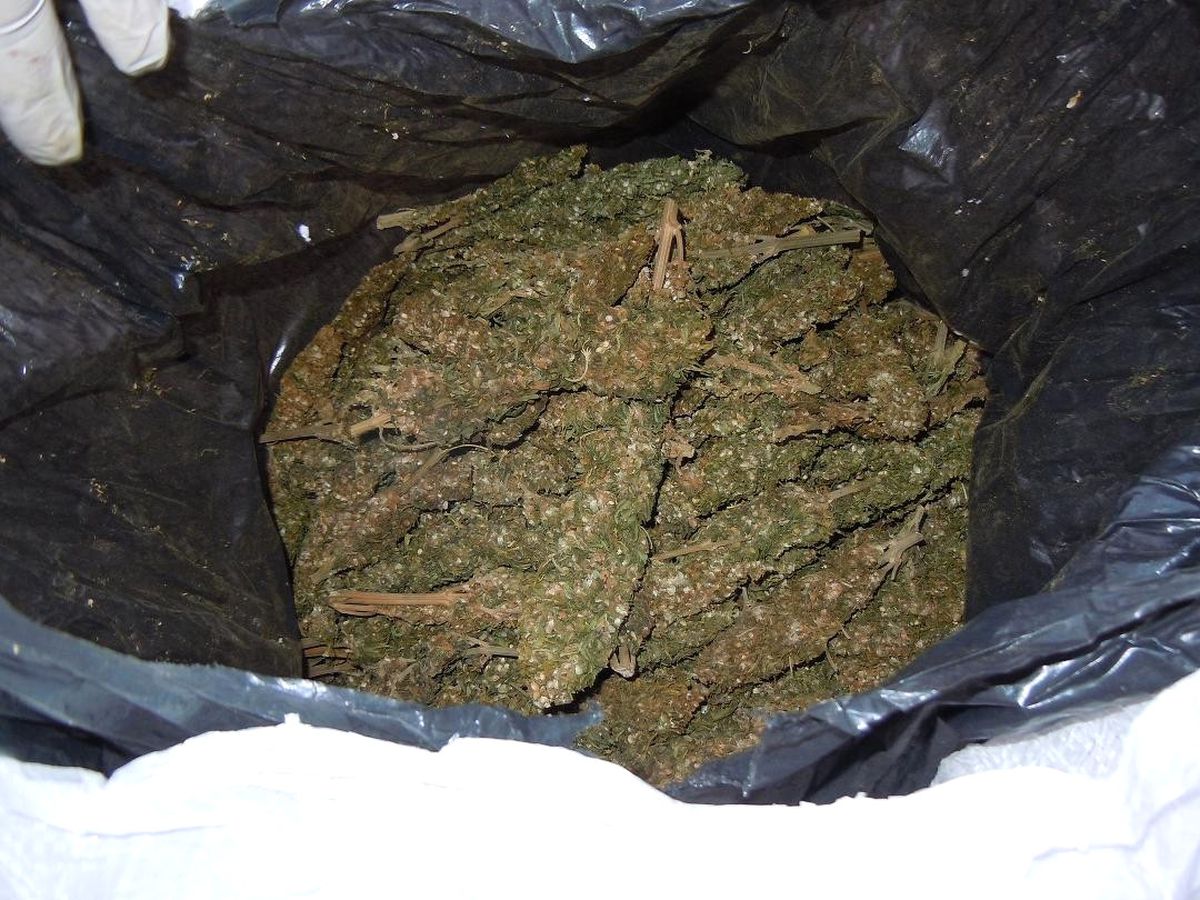 Erzurum\'da 20 Kilo Esrar Ele Geçirildi