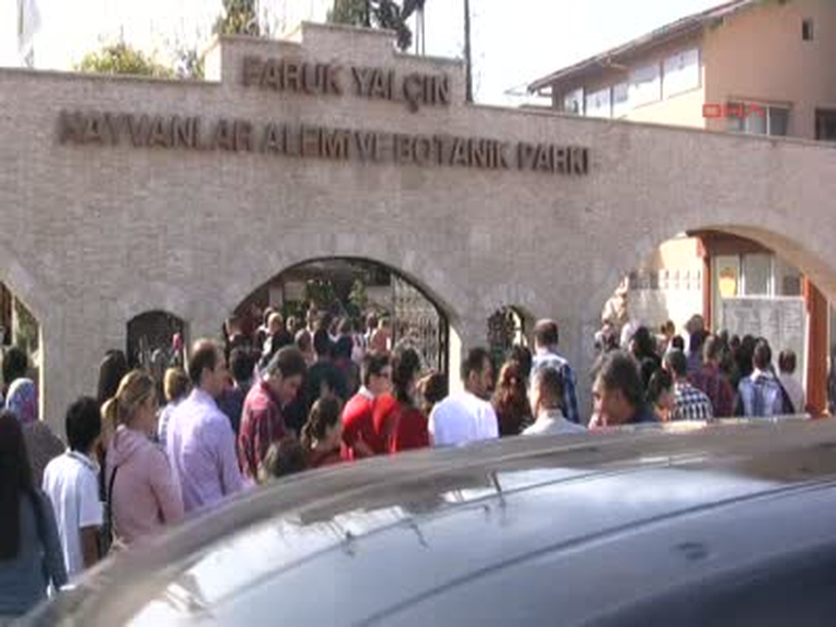 Kocaeli Darıca Hayvanat Bahçesi\'ne 3 Günde 50 Bin Ziyaretçi