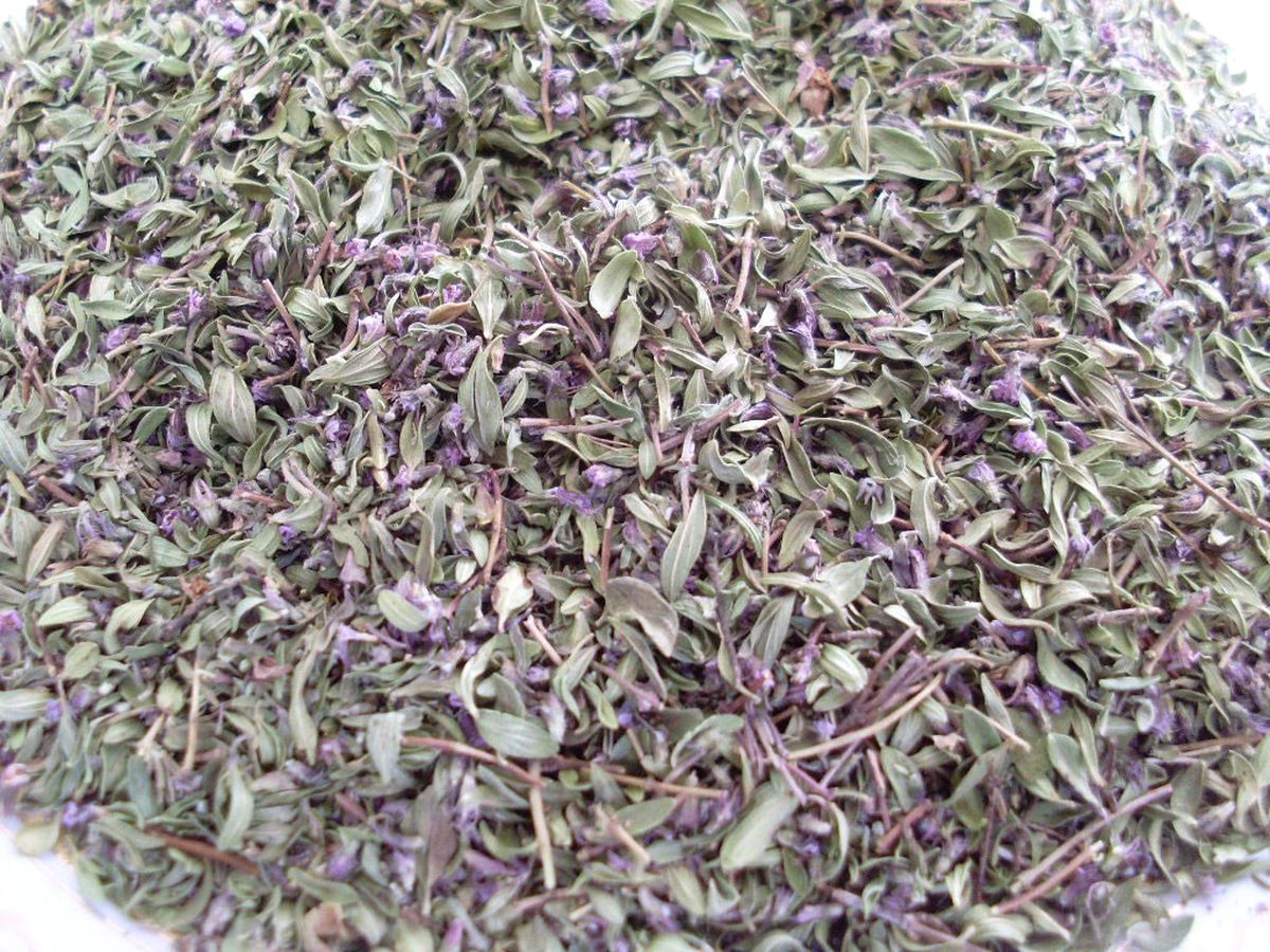 Türkiye Tıbbi ve Aromatik Bitki Cenneti
