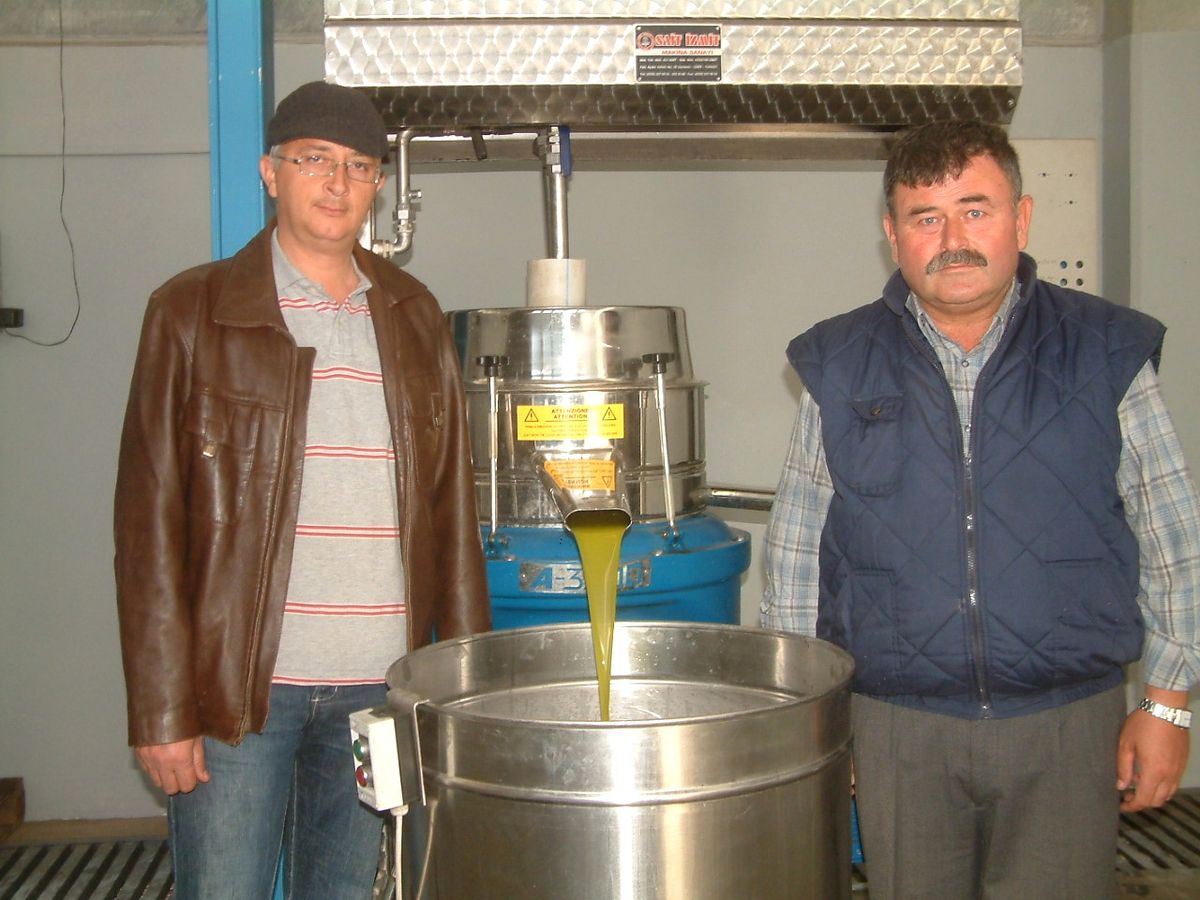Burhaniye\'de İlk Ürün Zeytinyağı Kaliteli Çıktı