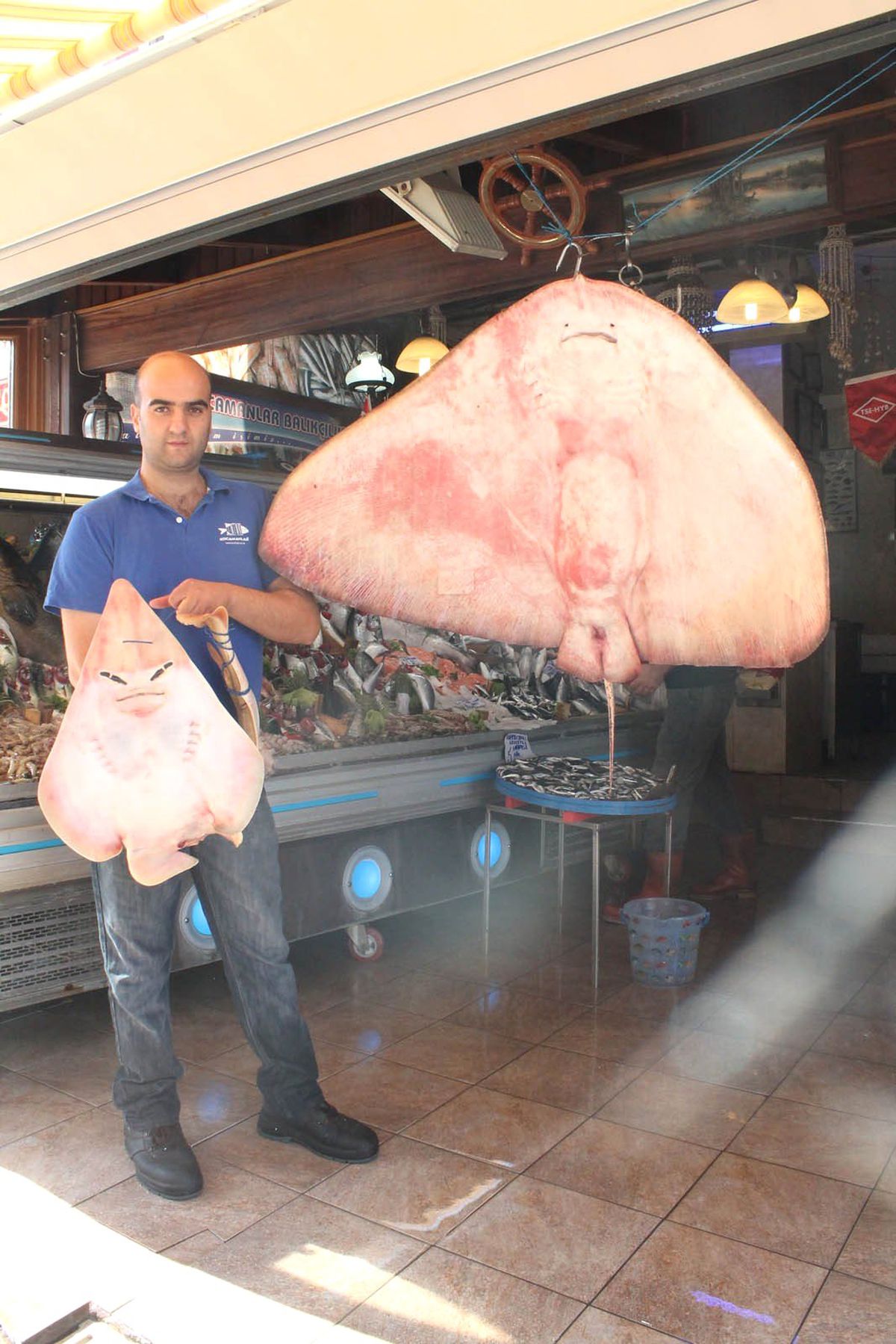 Bursa\'da Yarasa Yüzlü Vatoz Balığı