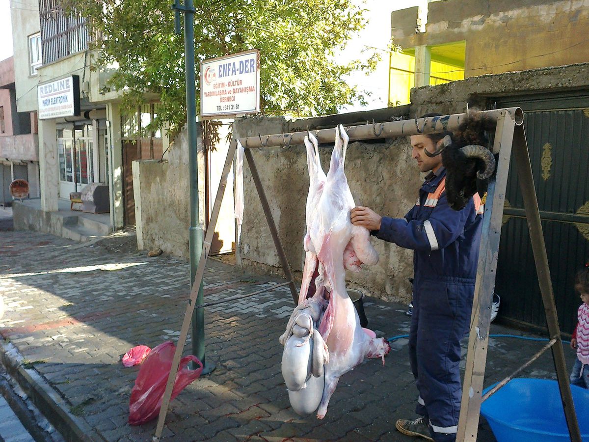 Enfa-Der Kurban Bayramı\'nda 100\'e Yakın Aileye Yardım Etti