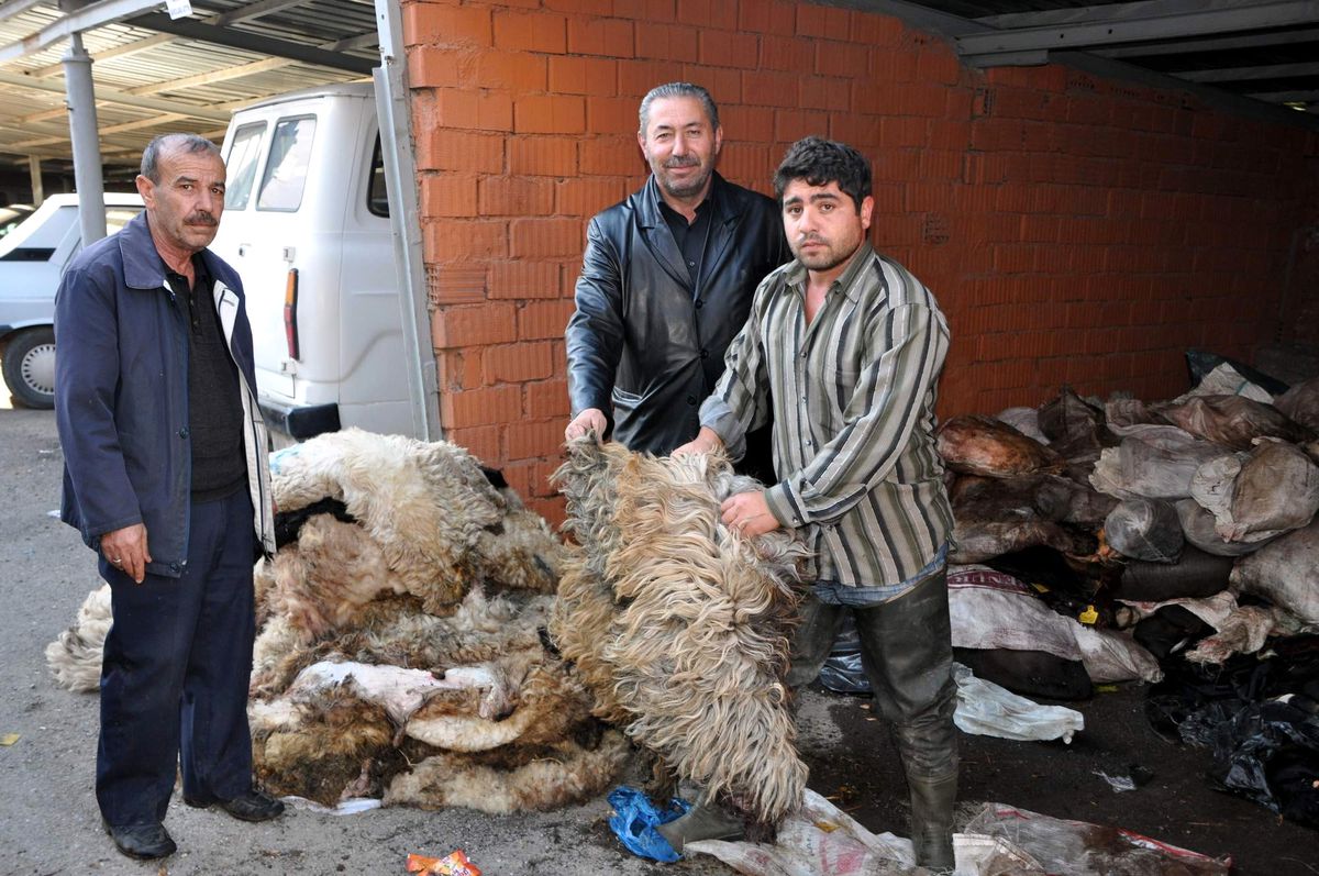 Suşehri Türk Hava Kurumu 422 Deri Topladı