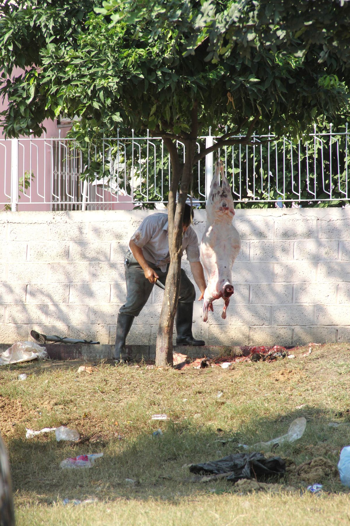 Kaldırımda Kurban Kesimi