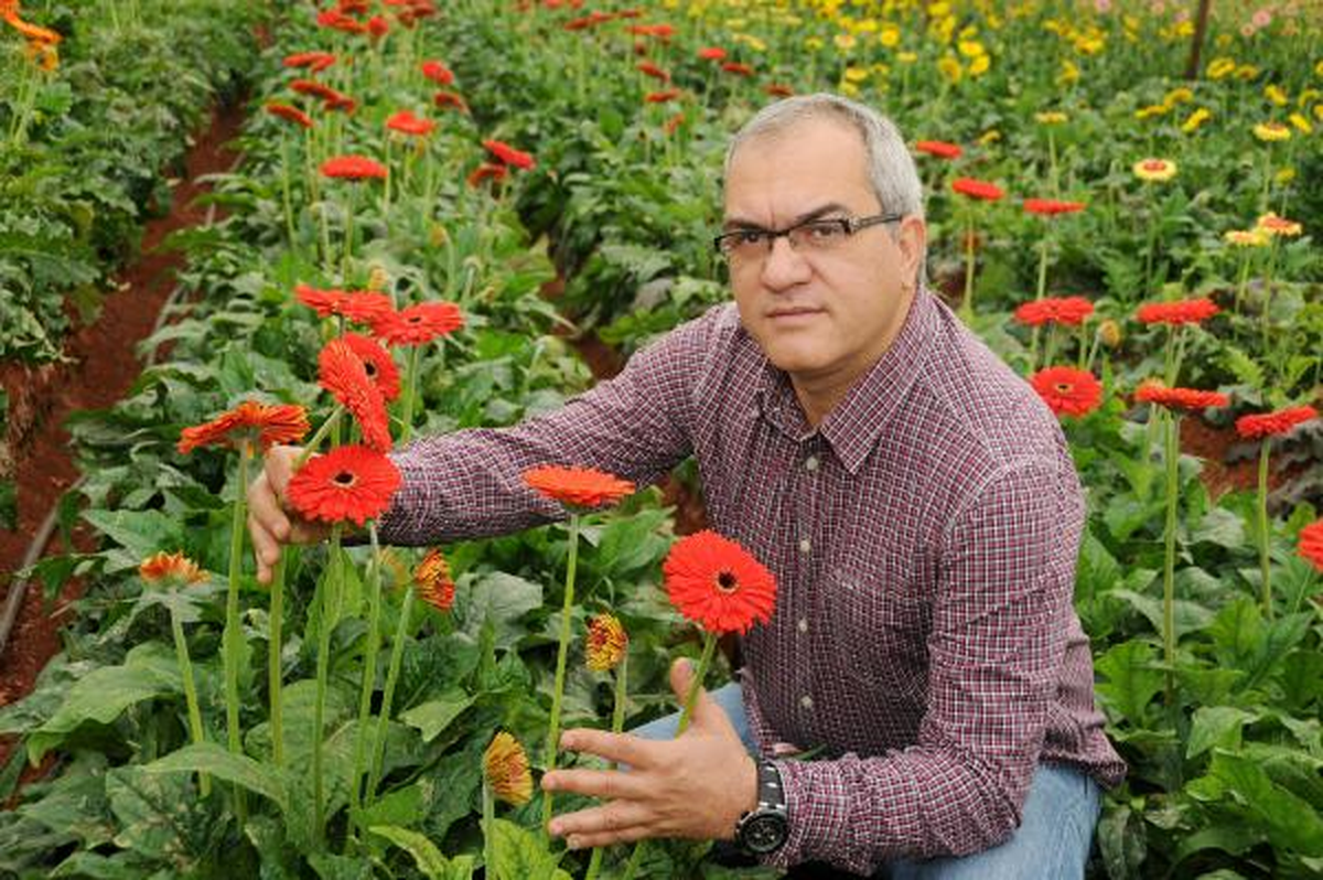 Cumhuriyet Bayramı\'na 5 Milyon Dal Karanfil