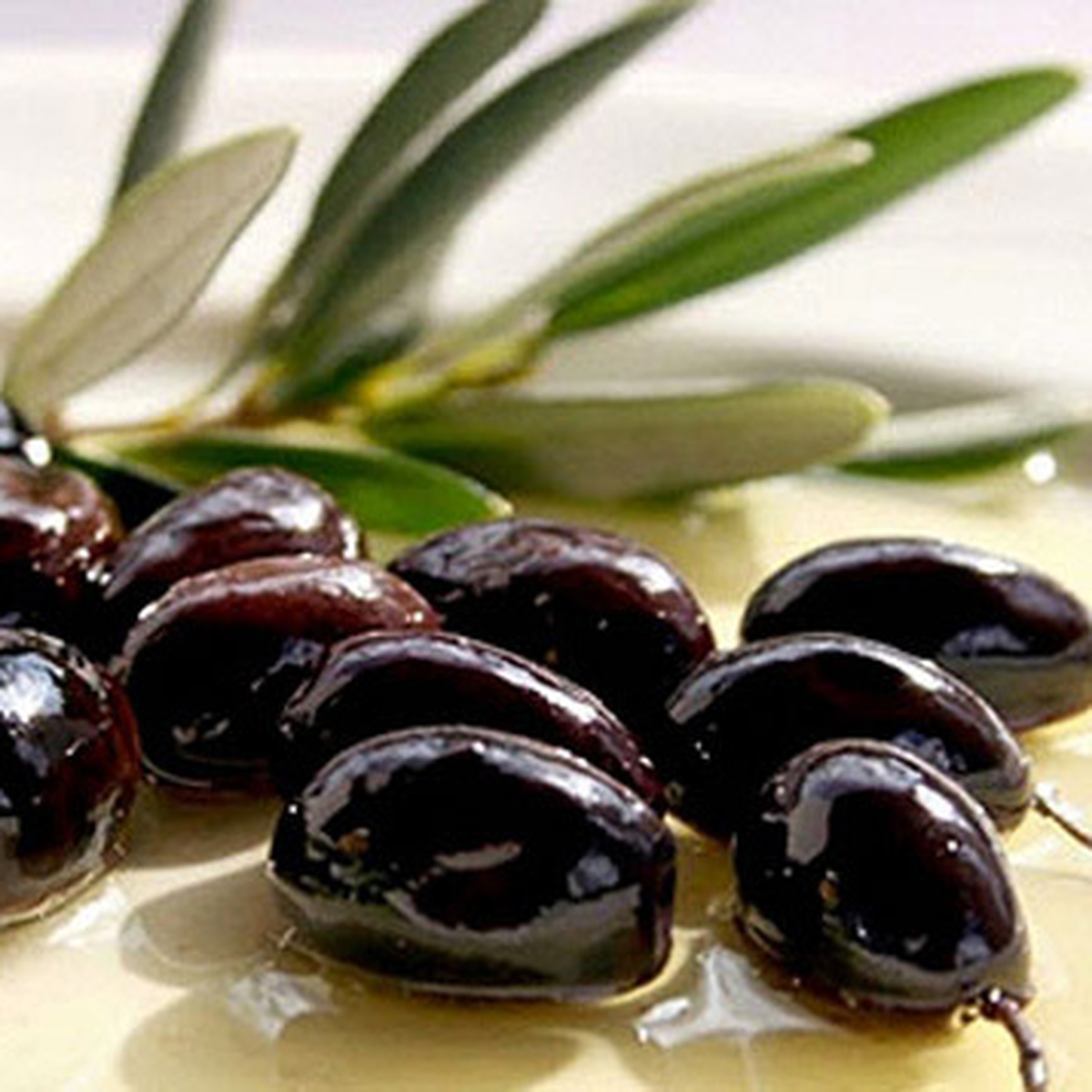 Eşek Zeytini\'ne Avrupa İlgisi