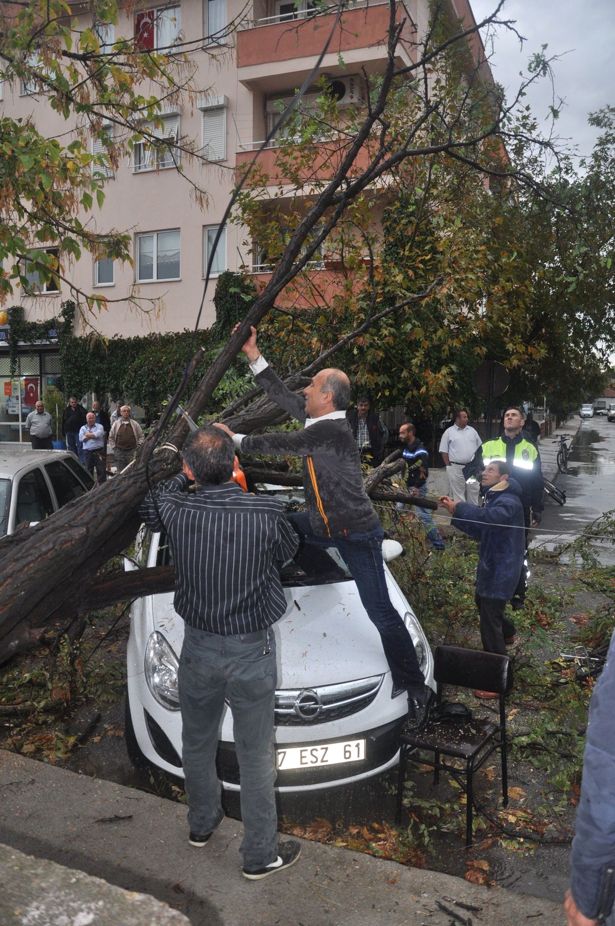 Fırtına Ağaçları Devirdi