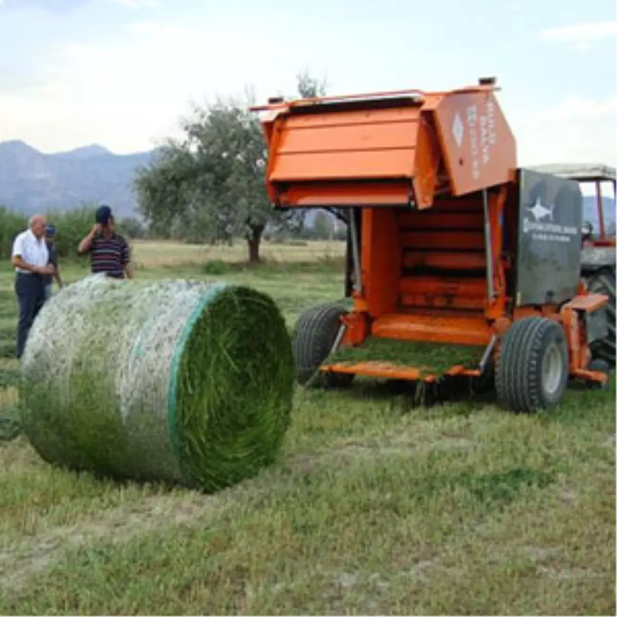Otlar Besin Değerlerini Uzun Süre Koruyacak